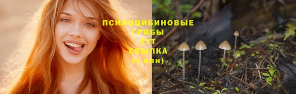 амф Краснослободск