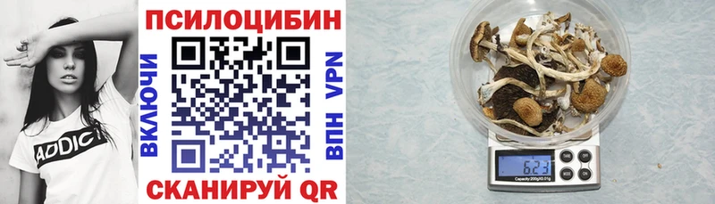 Псилоцибиновые грибы мухоморы  ссылка на мегу вход  Шагонар 
